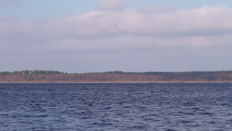 Ondas-De-Lago-Azul-Oscuro-En-Un-Día-Soleado-Con-Fondo-De-Orilla-De-Bosque-Marrón