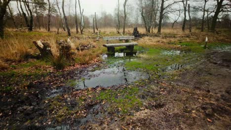 Abandoned-bench-in-wet-nature-reserve-with-damp-surface-and-puddle-during-winter