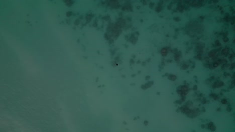 Overhead-View-Of-Calm-Blue-Sea-In-Oahu-Island,-Hawaii