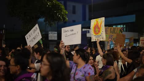 Feminismo,-Pancarta-De-Protesta,-Poder-Femenino