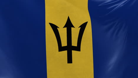 Bandera-De-Barbados