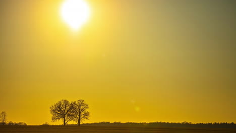 Sunshine-glow-through-midday-towards-dusk,-serene-scenery-in-empty-field