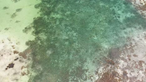 Sparkling-waters-over-los-roques-wetlands-with-subtle-motion,-aerial-view