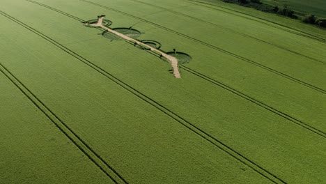 Winterbourne-Basset-crop-circle-aerial-view-looking-down-at-Barley-field-pattern-destroyed-by-Wiltshire-farmer