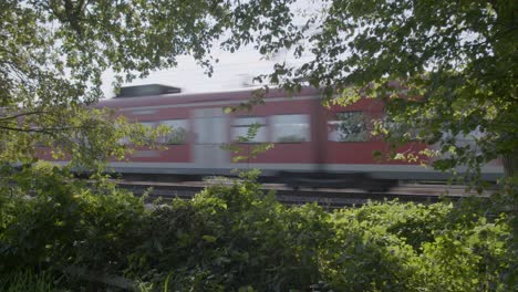 Red-passenger-train-speeding-by-on-tracks-surrounded-by-lush-greenery,-daylight