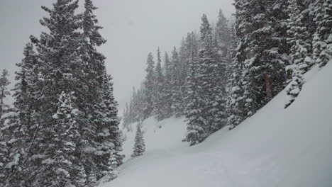 Backcountry-skin-Berthoud-Pass-Colorado-super-slow-motion-snowing-snowy-spring-winter-wonderland-blizzard-white-out-deep-snow-powder-on-pine-tree-national-forest-Rocky-Mountains-static-shot