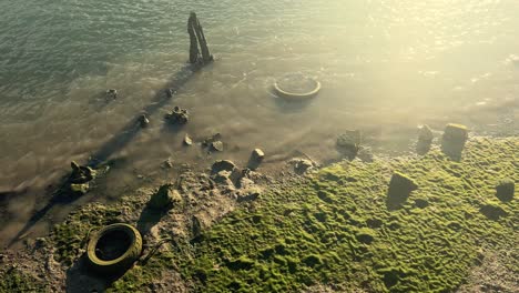 Car-tires-lie-by-the-water's-edge,-bathed-in-low-angle-sunlight,-an-evocative-portrayal-of-deterioration