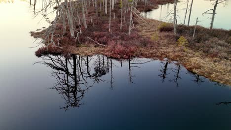 Un-Cuerpo-De-Agua-Con-Un-Reflejo-De-árboles-En-él