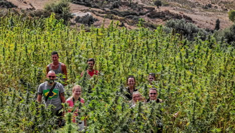 Grupo-De-Personas-Sentadas-En-Un-Campo-De-Plantas-De-Marihuana,-Marihuana,-Hierbas,-Cannabis,-Indica.