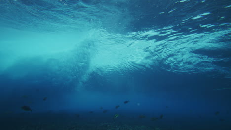 Rear-view-of-ocean-wave-barreling-creating-strong-vortex-with-tropical-fish-swimming-above-reef