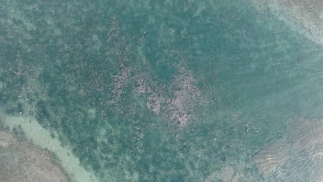 High-altitude-top-down-descending-drone-shot-of-polluted-water-filled-with-plastic-trash-and-dead-coral-reef-in-the-turqouise-tropical-water-of-Bali-Indonesia