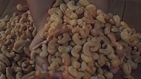 Cashew-symbol-of-Brazilian-tropical-culture-and-gastronomy-influencer