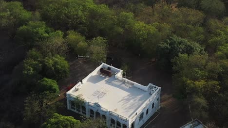 Aerial-drone-view-drone-camera-side-view-big-palace-is-visible-big-trees-around-and-big-forest-area-is-visible