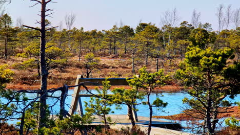 Holzbank-Am-Fluss-Lädt-Zum-Ausruhen-Am-Flussufer-Ein