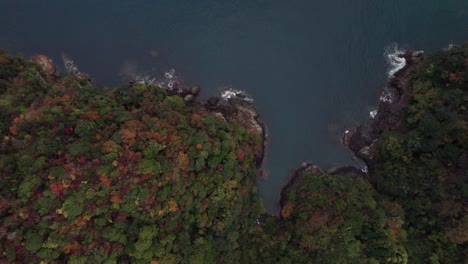 Kyotango-cliffs-aerial-drone-top-down-Japanese-beach-forest-landscape-Japan-nature-environment,-clean-blue-sea-at-Kansai-travel-destination-near-Kyoto