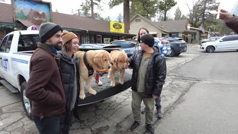 Alcalde-De-Golden-Retriever-En-La-Ciudad