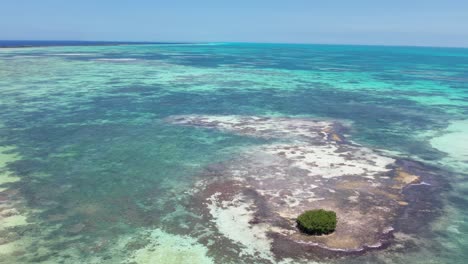 Un-Vibrante-Arrecife-De-Coral-Cerca-De-Los-Roques-Con-Aguas-Cristalinas-De-Color-Turquesa-Y-Una-única-Isla-Verde,-Vista-Aérea