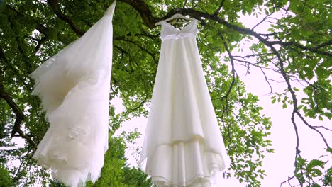 Low-orbiting-shot-of-a-brides-wedding-dressed-hanging-from-a-branch-outside
