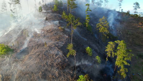 Dramatic-burning-fire-scene-in-rainforest-of-Dominican-Republic