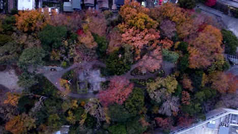 A-vibrant-autumn-park-at-dusk,-colorful-foliage-dominating-the-scene,-aerial-view