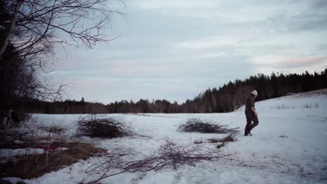 The-Man-Gathers-Firewood-in-the-Winter-in-Indre-Fosen,-Trondelag-County,-Norway---Static-Shot