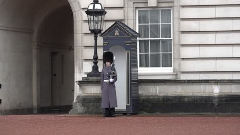 Guardia-Real-De-Granaderos-En-El-Palacio-De-Buckingham,-Londres.-18.03.24