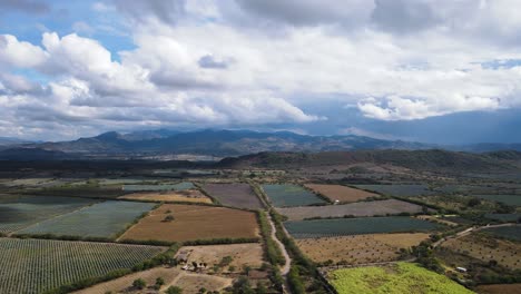 Beautiful-crop-fields-that-form-patterns,-San-Pedro-Lagunillas,-Nayarit,-Mexico