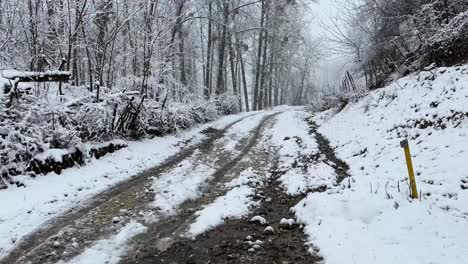 local-access-road-agriculture-path-in-winter-season-heavy-snow-in-forest-town-in-Iran