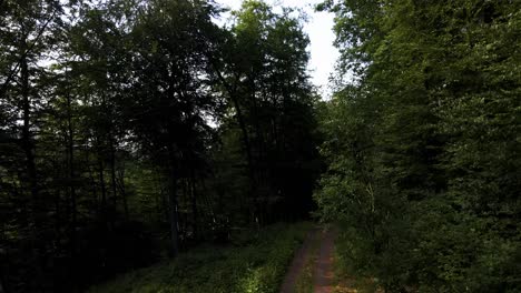 Luftaufnahmen:-Entdecken-Sie-Die-Verborgenen-Schätze-Der-Landschaft-Des-Saarlandes-Mit-Atemberaubenden-Drohnenaufnahmen,-Die-Panoramablicke-Auf-Dichte-Wälder,-Mäandernde-Bäche-Und-Gemütliche-Dörfer-Bieten,-Die-Die-Landschaft-Prägen