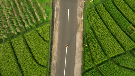 Fast-runner-passed-by-motorcycle,-roads-of-Bali-and-fields-of-rice
