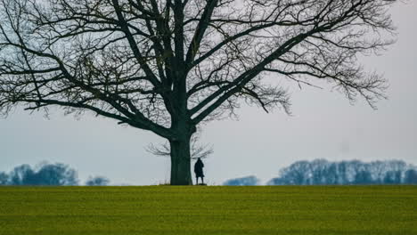 Woman-sitting-under-tall-tree,-grass-field-clear-sky-time-lapse-nature