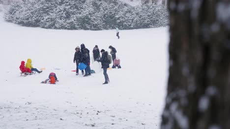 Niños-Paseando-En-Trineo-En-El-País-De-Las-Maravillas-Invernal-Mientras-Los-Copos-De-Nieve-Caen-En-El-Parque---Woluwe-saint-pierre,-Bélgica---Cámara-Lenta