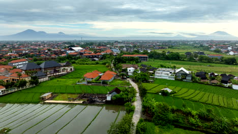 Drone-Volando-Sobre-Campos-De-Arroz-En-La-Aldea-Indonesia-De-Canggu,-Bali