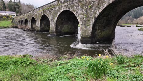 River-Nore-flowing-under-Inistioge-bridge-with-trees-caught-under-the-arches-after-a-winter-storm