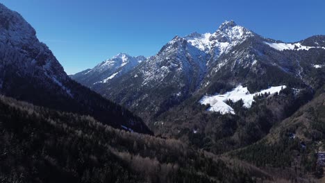 Aerial-view-of-pine-forest,-drone-fly-towards-snow-capped-mountains-on-a-beautiful-sunny-day-with-clear-blue-sky-in-Austria