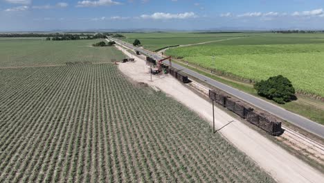 Containers-loaded-with-sugarcane-harvest,-Higueral,-La-Romana-in-Dominican-Republic