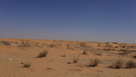 Vast-sandy-landscape-of-Jebil-Desert-under-the-clear-blue-sky,-Tunis