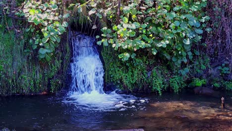 Fresh-water-waterfall-surrounded-by-vegetation-in-bright-green-colors