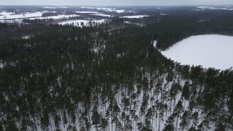 Drohnenvideo-Eines-Winterwaldes-Mit-Viel-Schnee