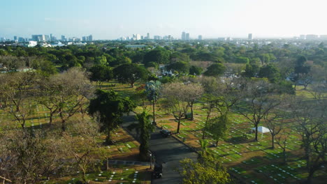 Aerial-view-over-leafless-trees-and-graves-in-Manila-memorial-park,-Philippines