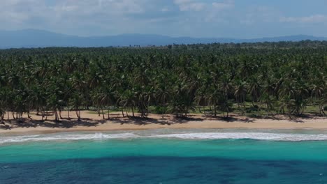 Malerischer-Tropischer,-Von-Palmen-Gesäumter-Strand-In-Der-Karibik-Mit-Spektakulärem-Azurblauem-Wasser