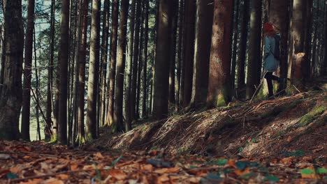 Weite,-Wald,-Frau-Mit-Rucksack-Geht-Auf-Einen-Baum-Zu-Und-Setzt-Sich-An-Einen-Baum-Gelehnt