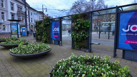 Große-Pflanzkübel-Mit-Viel-Grün-Und-Vertikaler-Garten-An-Der-Bushaltestelle-Arnheim-Im-Stadtzentrum