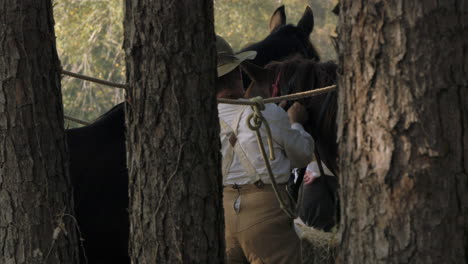 Campamento-Confederado-Enganchando-Caballos