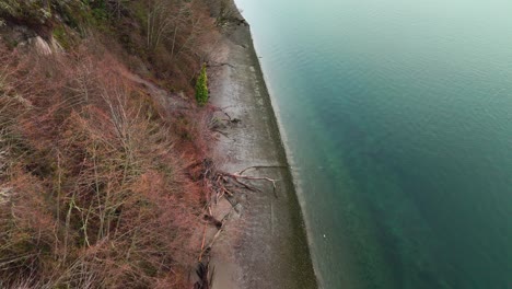 Toma-De-Drones-Hacia-Atrás-De-Tranquilas-Aguas-Azules-Y-Copas-De-árboles-En-La-Costa-De-La-Bahía-De-Wollochet-En-Gig-Harbor,-Estado-De-Washington.