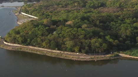 Aerial-drone-view-drone-camera-is-moving-upwards-and-many-birds-are-flying