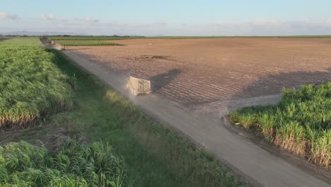 Traktoren-Fahren-Zwischen-Zuckerrohrfeldern,-Higueral,-La-Romana-In-Der-Dominikanischen-Republik