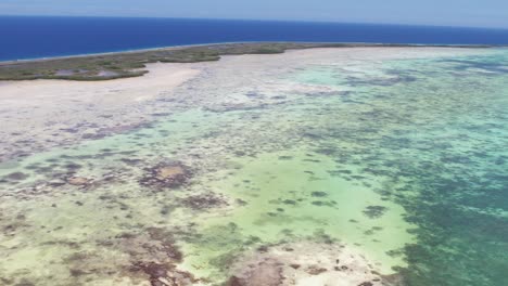 A-vibrant-coral-reef-near-a-tropical-island-with-crystal-clear-water,-aerial-view