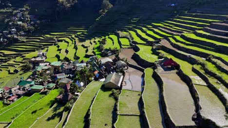 Imágenes-Cercanas-De-Drones-De-Las-Famosas-Terrazas-De-Arroz-Verde-Batad-En-El-Norte-De-Filipinas