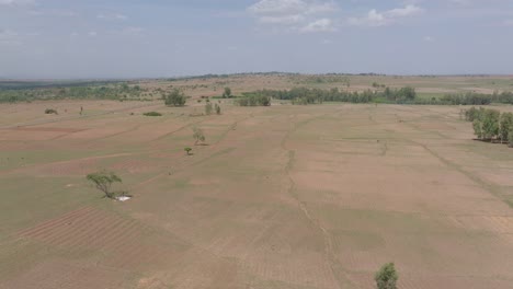 Forward-drone-view-of-vast-plain-with-few-trees-on-sunny-day